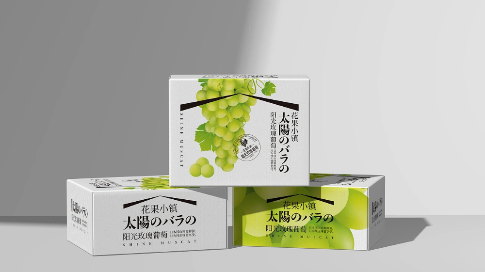 包裝的品類有哪些？.png